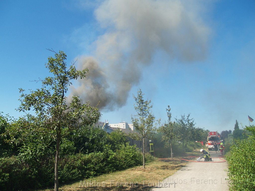 Gartenlaube in Vollbrand Koeln Poll Im Gremberger Waeldchen P103.JPG